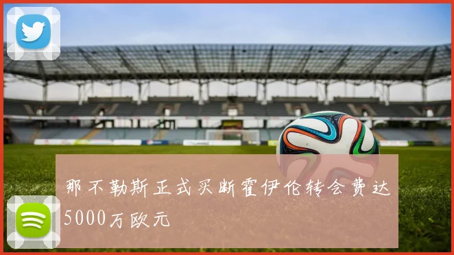那不勒斯正式买断霍伊伦转会费达5000万欧元